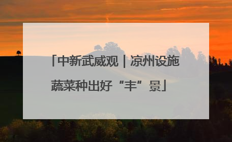 中新武威观｜凉州设施蔬菜种出好“丰”景