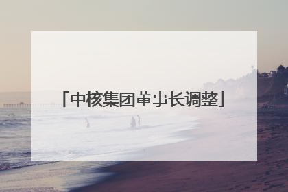 中核集团董事长调整