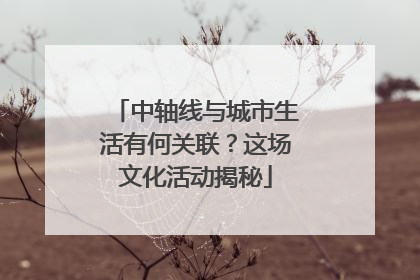 中轴线与城市生活有何关联？这场文化活动揭秘