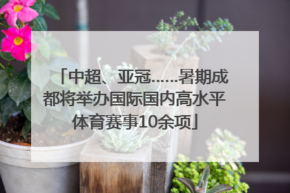 中超、亚冠……暑期成都将举办国际国内高水平体育赛事10余项