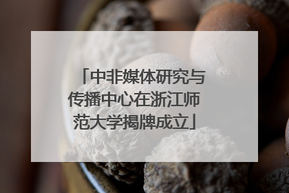 中非媒体研究与传播中心在浙江师范大学揭牌成立