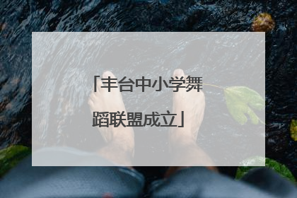 丰台中小学舞蹈联盟成立