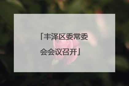 丰泽区委常委会会议召开