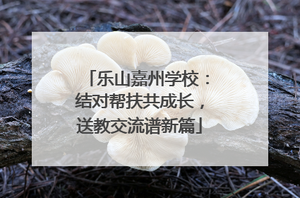 乐山嘉州学校：结对帮扶共成长，送教交流谱新篇