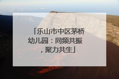 乐山市中区茅桥幼儿园：同频共振，聚力共生