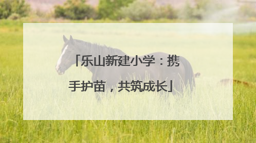 乐山新建小学：携手护苗，共筑成长