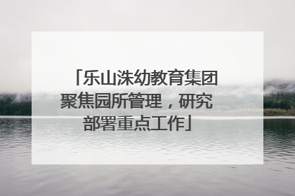 乐山洙幼教育集团聚焦园所管理，研究部署重点工作