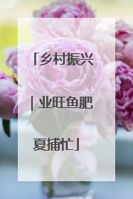 乡村振兴｜业旺鱼肥夏捕忙