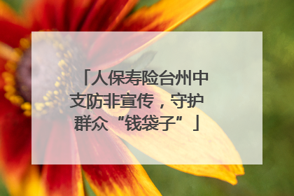 人保寿险台州中支防非宣传，守护群众“钱袋子”