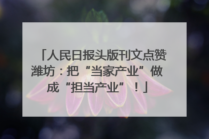 人民日报头版刊文点赞潍坊：把“当家产业”做成“担当产业”！