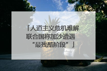 人道主义危机难解 联合国称加沙遭遇“最残酷阶段”