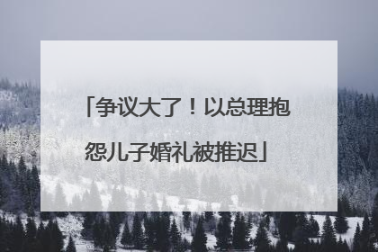 争议大了！以总理抱怨儿子婚礼被推迟
