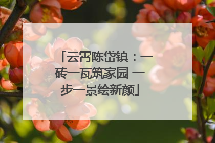 云霄陈岱镇：一砖一瓦筑家园 一步一景绘新颜