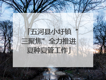 五河县小圩镇“三聚焦”全力推进夏种夏管工作