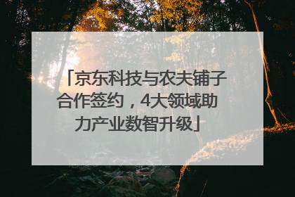 京东科技与农夫铺子合作签约，4大领域助力产业数智升级
