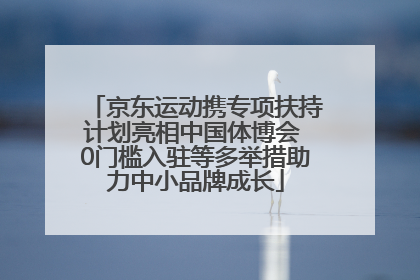 京东运动携专项扶持计划亮相中国体博会 0门槛入驻等多举措助力中小品牌成长