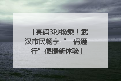 亮码3秒换乘！武汉市民畅享“一码通行”便捷新体验