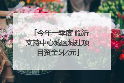 今年一季度 临沂支持中心城区城建项目资金5亿元
