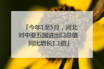 今年1至5月，河北对中亚五国进出口总值同比增长1.1倍