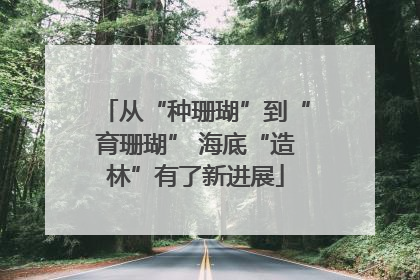 从“种珊瑚”到“育珊瑚” 海底“造林”有了新进展