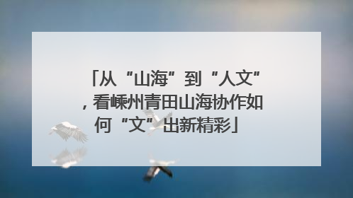 从“山海”到“人文”，看嵊州青田山海协作如何“文”出新精彩