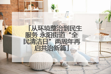 从环境整治到民生服务 永阳街道“全民清洁日”两周年再启共治新篇
