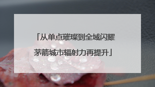 从单点璀璨到全域闪耀 茅箭城市辐射力再提升