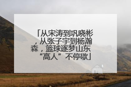 从宋涛到巩晓彬，从张子宇到杨瀚森，篮球逐梦山东“高人”不停歇