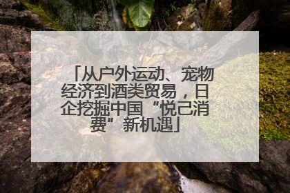从户外运动、宠物经济到酒类贸易，日企挖掘中国“悦己消费”新机遇