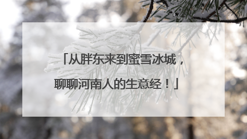 从胖东来到蜜雪冰城，聊聊河南人的生意经！