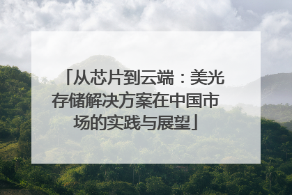 从芯片到云端：美光存储解决方案在中国市场的实践与展望