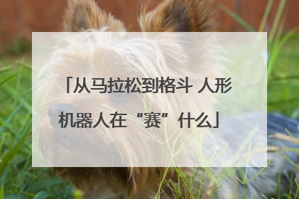 从马拉松到格斗 人形机器人在“赛”什么