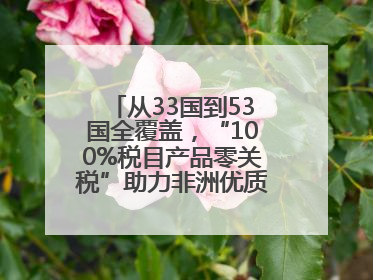 从33国到53国全覆盖，“100%税目产品零关税”助力非洲优质商品入华