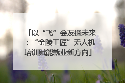 以“飞”会友探未来：“金陵工匠”无人机培训赋能就业新方向