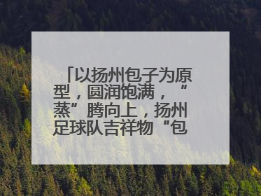 以扬州包子为原型，圆润饱满，“蒸”腾向上，扬州足球队吉祥物“包赢”亮相即售罄