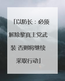 以防长：必须解除黎真主党武装 否则将继续采取行动