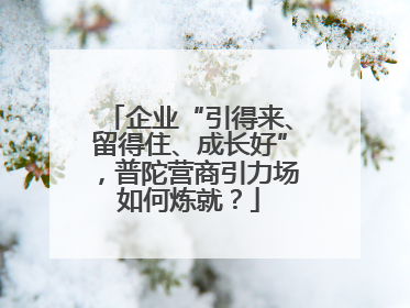 企业“引得来、留得住、成长好”，普陀营商引力场如何炼就？
