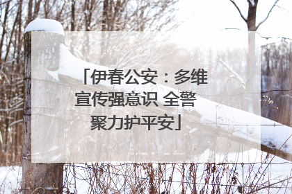 伊春公安：多维宣传强意识 全警聚力护平安