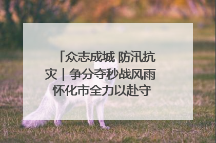 众志成城 防汛抗灾｜争分夺秒战风雨 怀化市全力以赴守护人民群众安全
