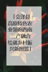 会泽县：高原特色农业领跑西南 三产融合绘就乡村振兴新图景