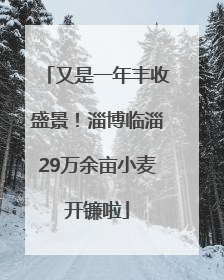 又是一年丰收盛景！淄博临淄29万余亩小麦开镰啦
