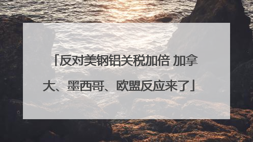反对美钢铝关税加倍 加拿大、墨西哥、欧盟反应来了