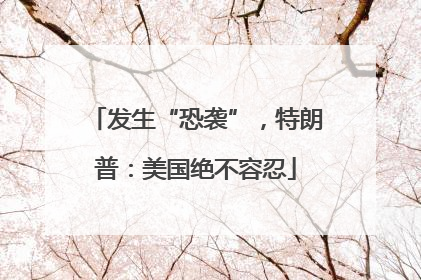 发生“恐袭”，特朗普：美国绝不容忍