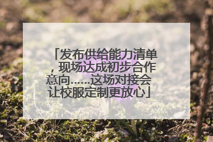 发布供给能力清单，现场达成初步合作意向……这场对接会让校服定制更放心