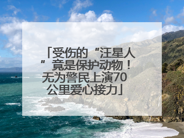 受伤的“汪星人”竟是保护动物！无为警民上演70公里爱心接力