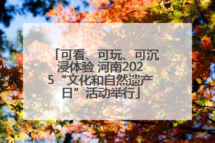 可看、可玩、可沉浸体验 河南2025“文化和自然遗产日”活动举行