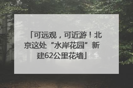 可远观，可近游！北京这处“水岸花园”新建62公里花墙