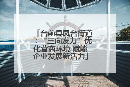 台前县凤台街道：“三向发力”优化营商环境 赋能企业发展新活力