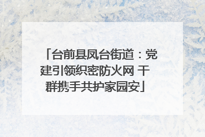 台前县凤台街道：党建引领织密防火网 干群携手共护家园安