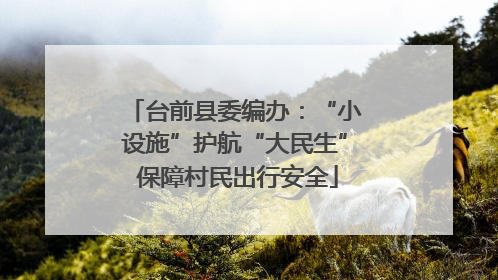 台前县委编办：“小设施”护航“大民生” 保障村民出行安全